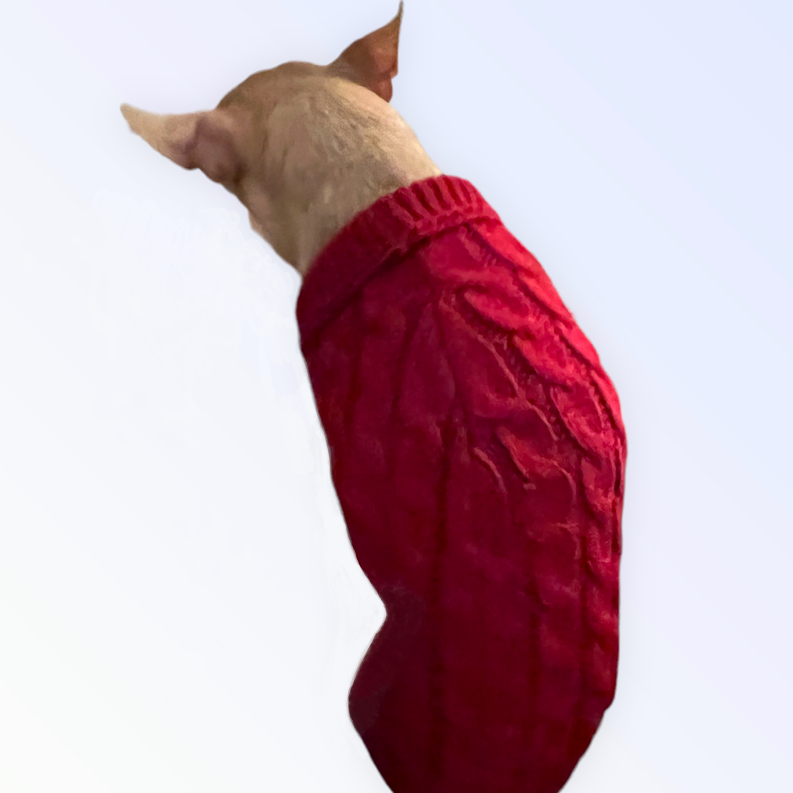 Knit Turtleneck Dog Sweater