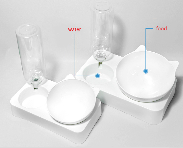 Pet Feeder and Water