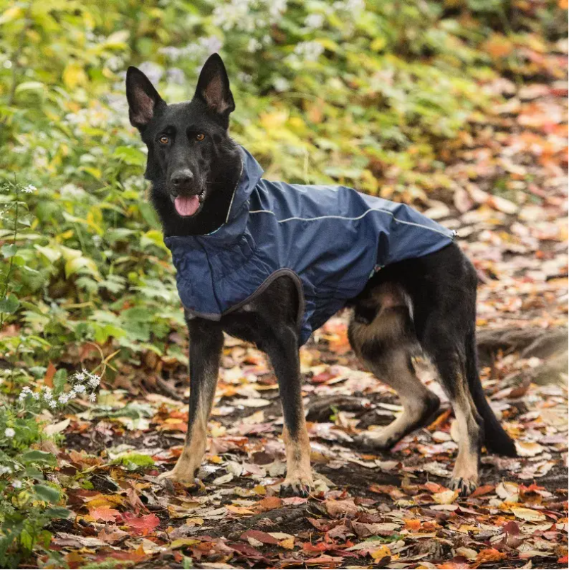 GF Pet Reversible ElastoFit Raincoat