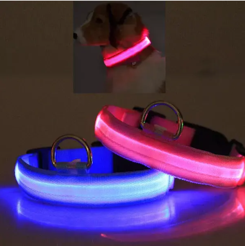 LED PET Safety Halo Style Collar