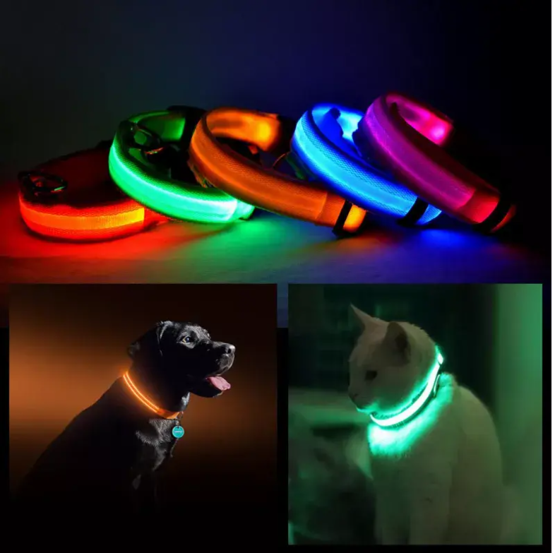 LED PET Safety Halo Style Collar