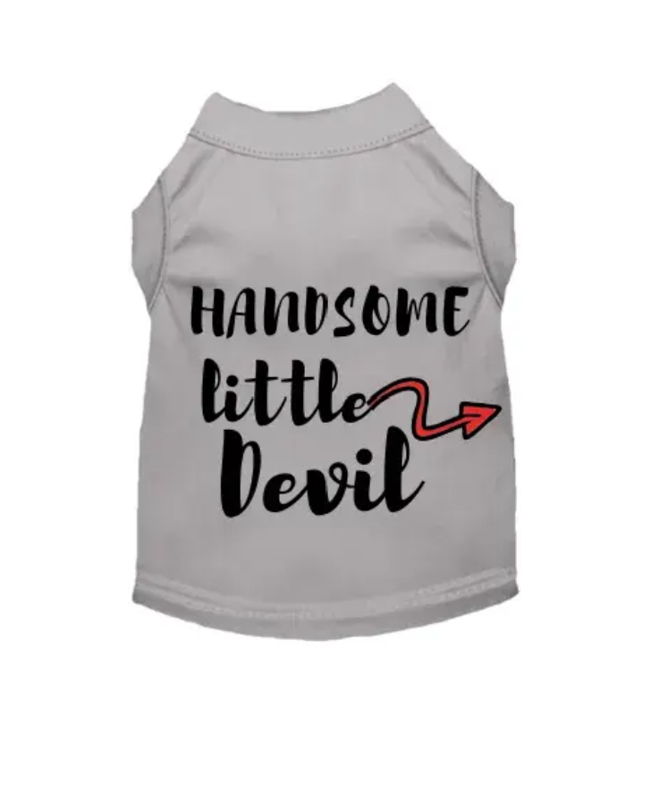 Handsome Little Devil
