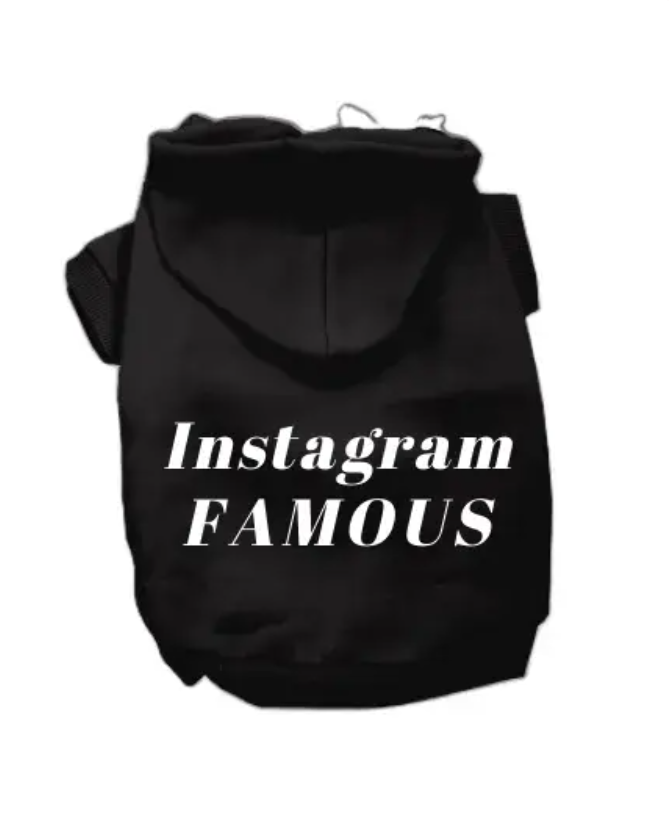 IG Famous Hoodie