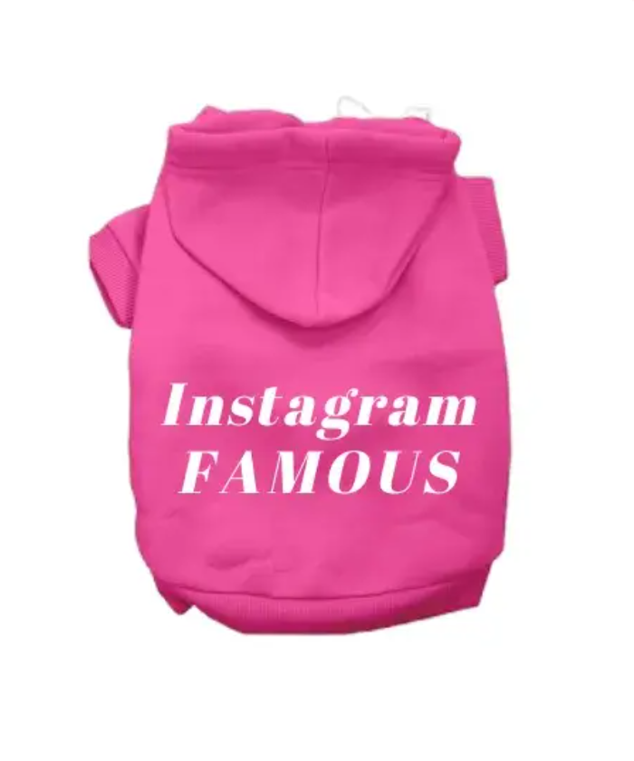 IG Famous Hoodie