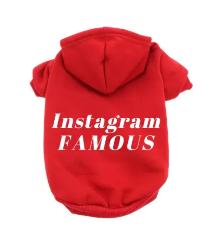 IG Famous Hoodie