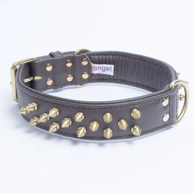 Amsterdam Multi Line Spiked Dog Collar by Angel