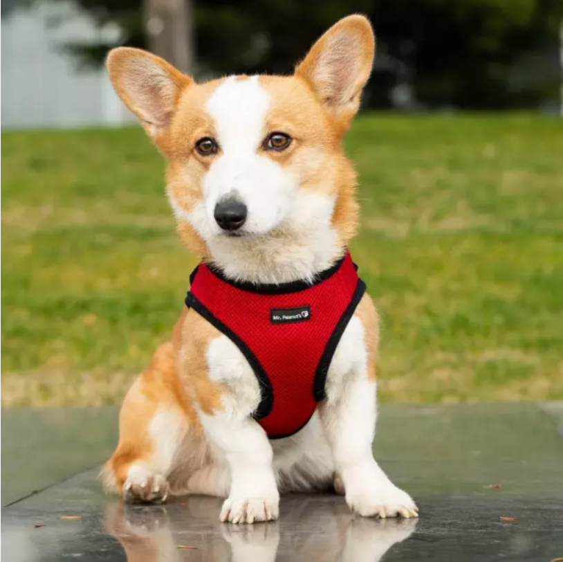 Mr. Peanut's PupTrek Small Dog/Cat Soft Mesh Step In Harness Vest