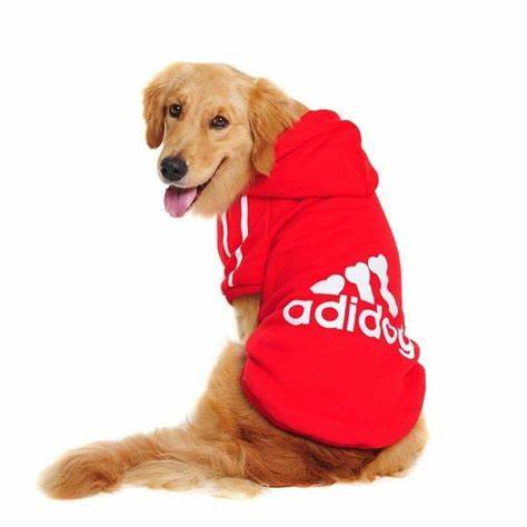 Pet Sweatshirt