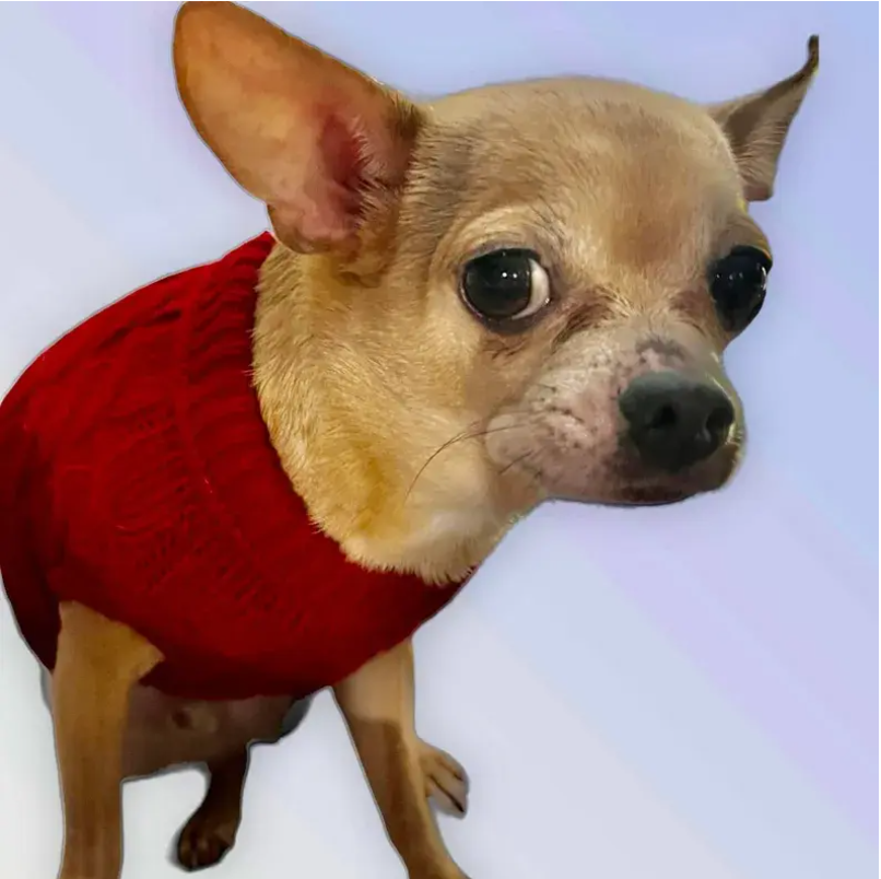 Knit Turtleneck Dog Sweater