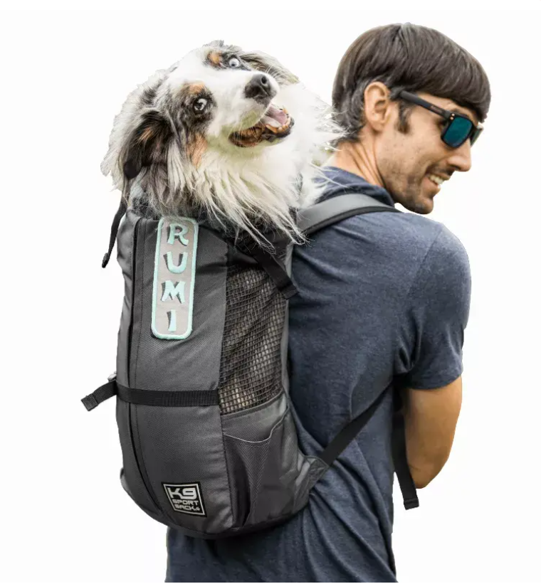 K9 Sport Sack Trainer