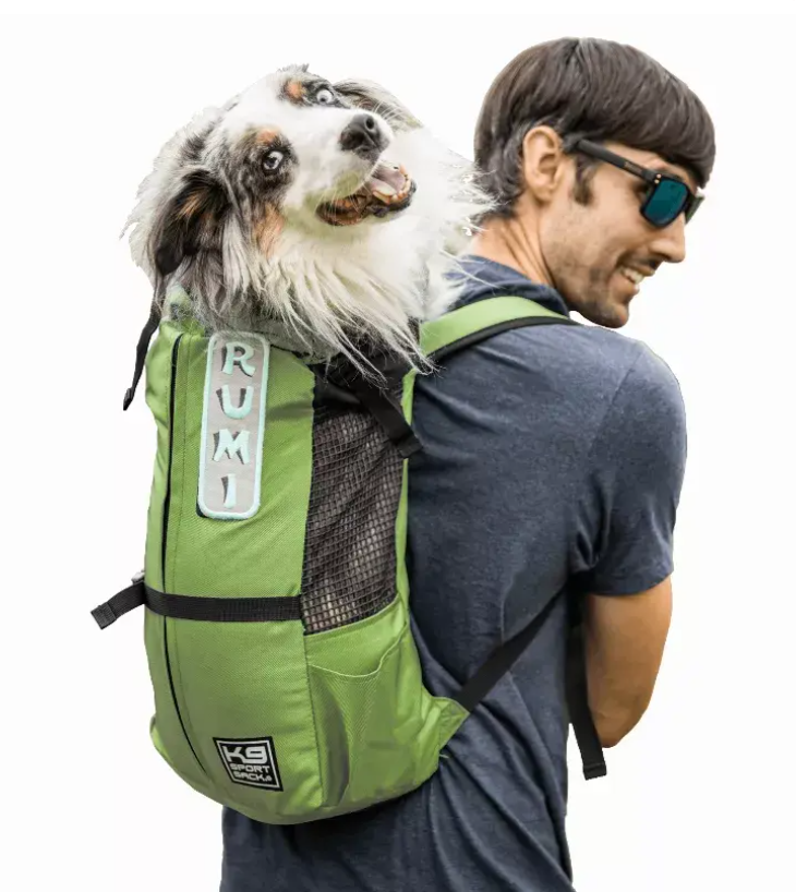 K9 Sport Sack Trainer