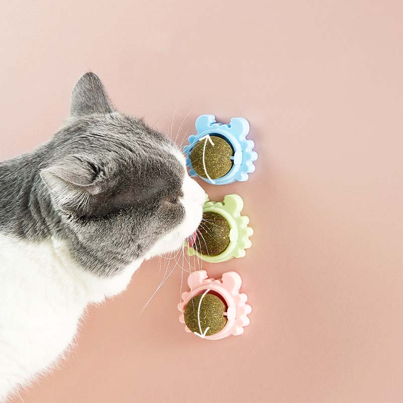 Catnip Ball Toy