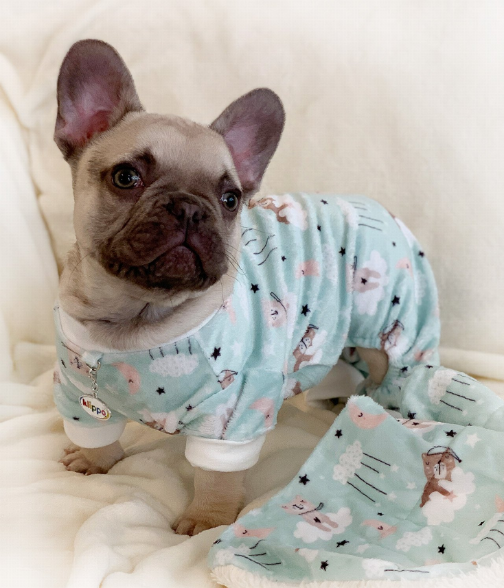 Ultra Soft Plush Minky Bedtime Bears Pajamas