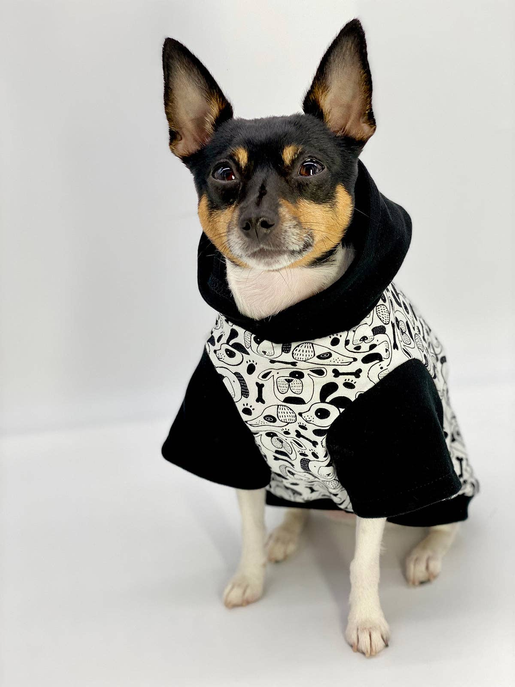 DCNY Iconic "Pup Art" Designer Dog Hoodie