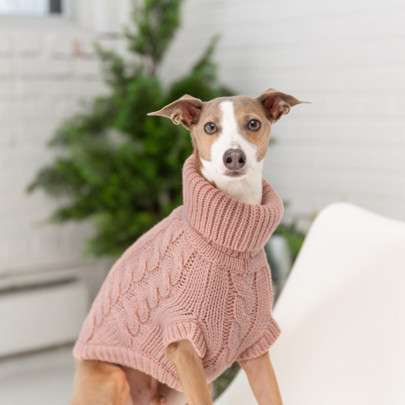 GF Pet Chalet Dog Sweater