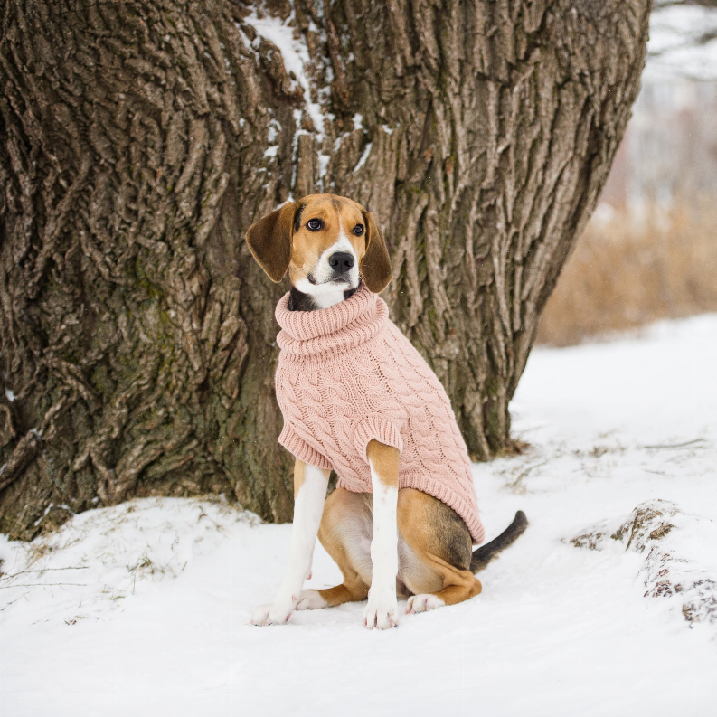 GF Pet Chalet Dog Sweater