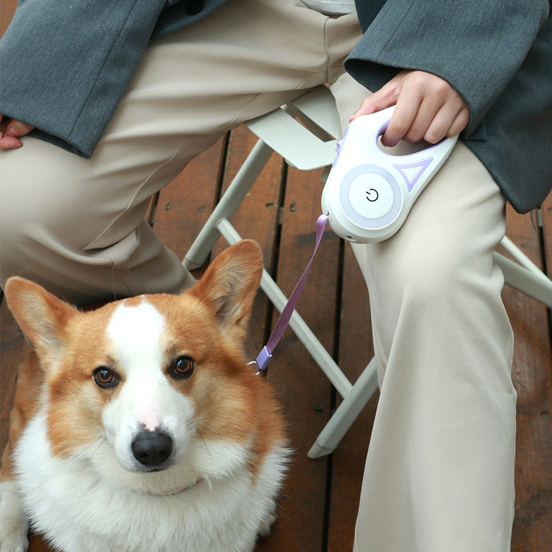 Led Light Dog Leash