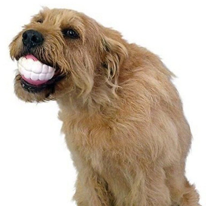 Pet Teeth Ball Toy